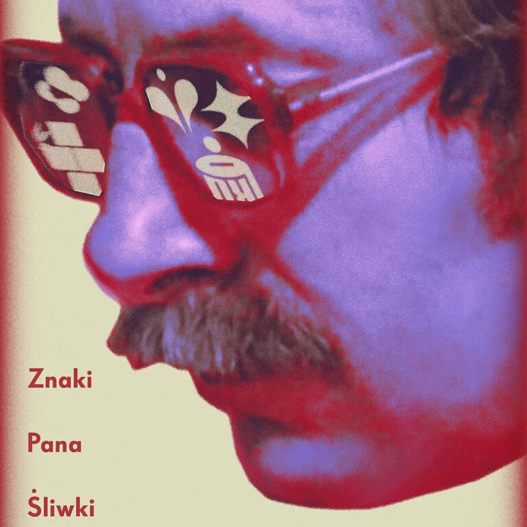 Okładka „Znaki pana Śliwki”